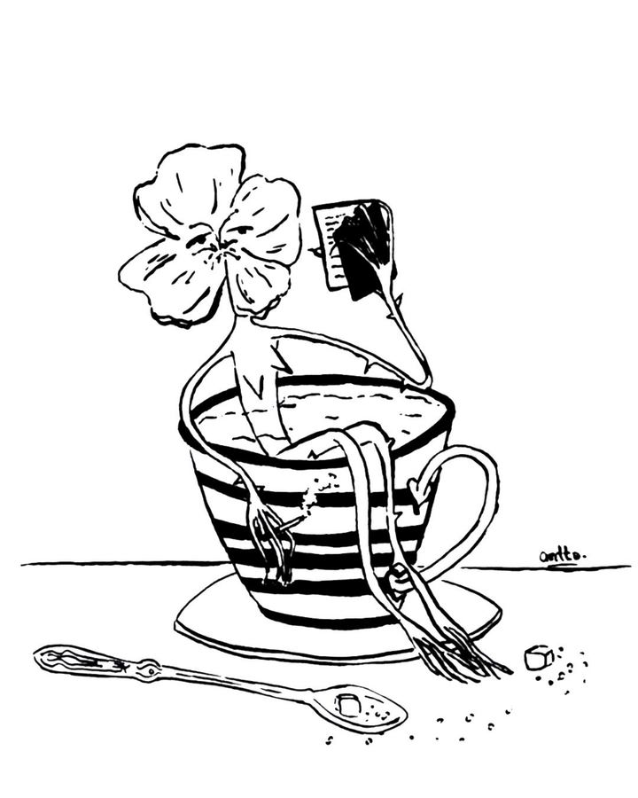 La vida secreta de las flores - serie en proceso
