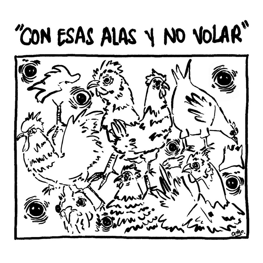 Con esas alas y no volar — viñeta de antto.
