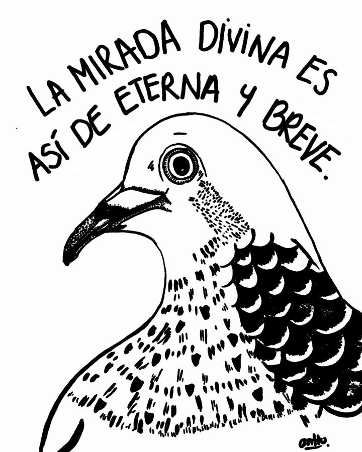 La mirada divina — viñeta de antto.